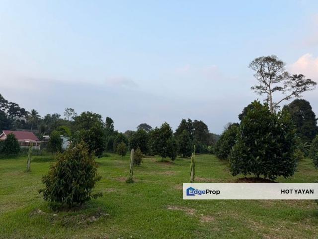 House for sale in Kajang, Langat