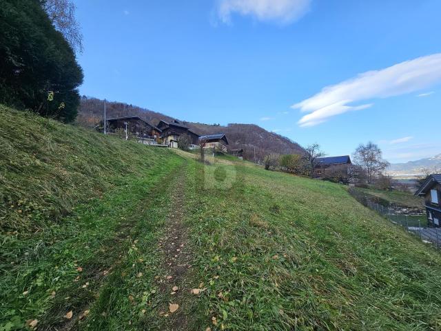 Immobilie kaufen in Vionnaz, Wallis