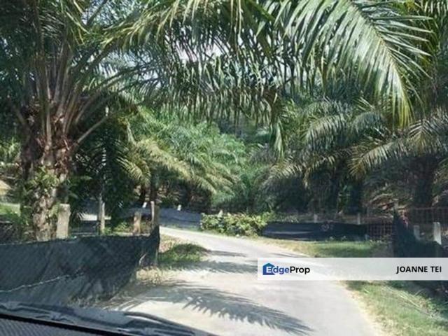 Shop for sale in Pilah, Kuala Pilah