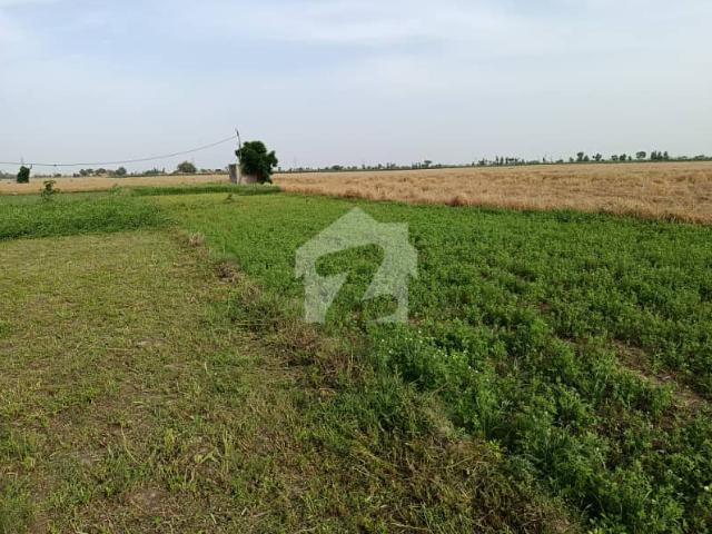 Land for sale in Sheikhupura, Islamabad Capital Territory