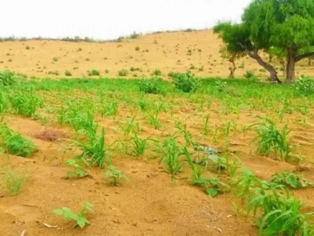 Land for sale in North Waziristan, Federally Administered Tribal Areas fata