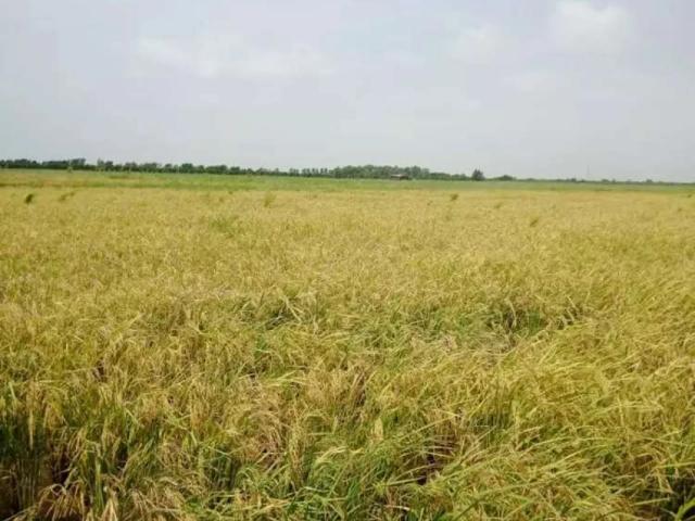 Land for sale in Federally Administered Tribal Areas fata