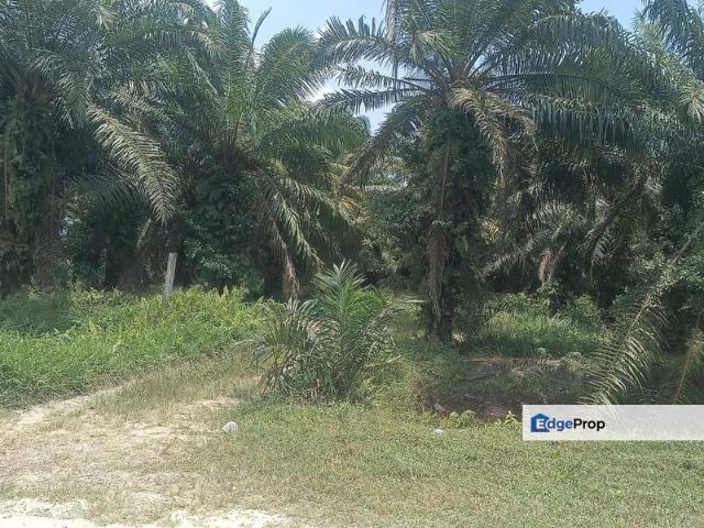 Shop for rent in Banting, Selangor