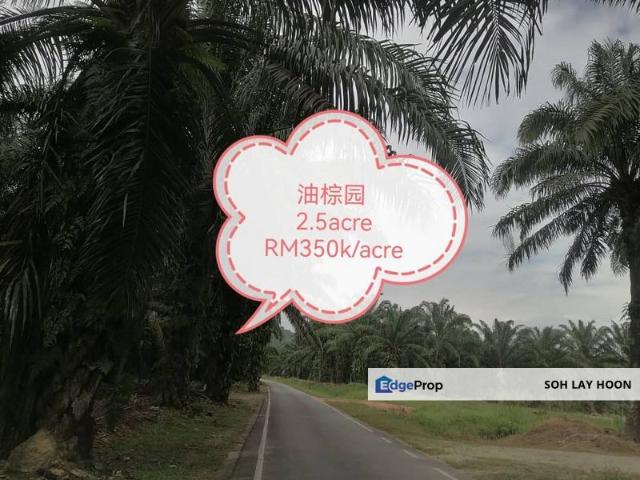 Shop for sale in Muar, Johor