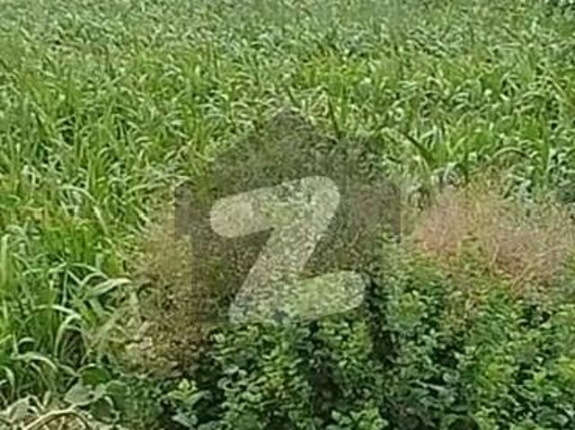 Land for sale in Sargodha, Islamabad Capital Territory