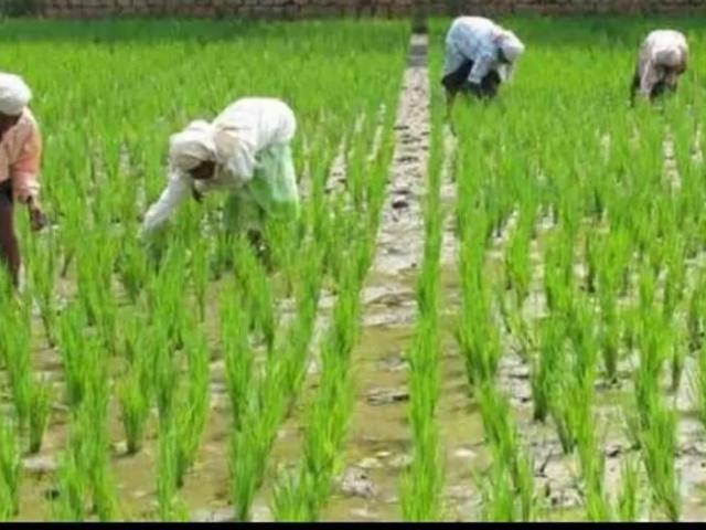 Land for sale in Sheikhupura, Islamabad Capital Territory