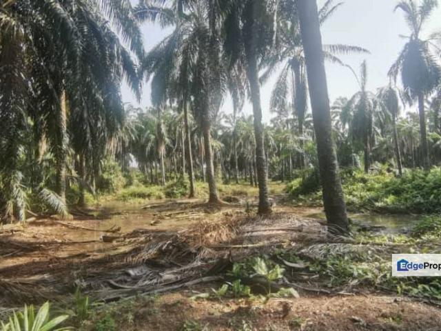 Shop for sale in Kuala Selangor, Selangor