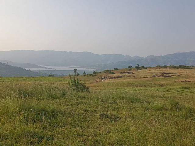 Land for sale in Poona, National Capital Territory Of Delhi