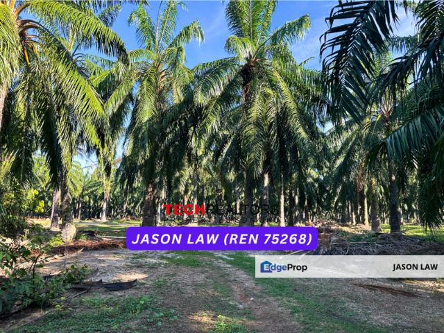 Shop for sale in Kuala Muda, Kedah