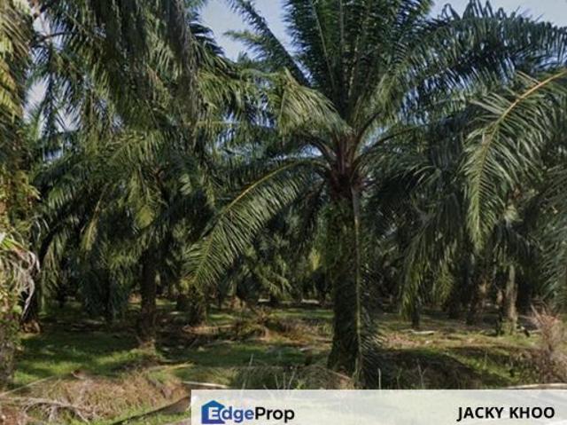 Shop for sale in Perak, Taiping