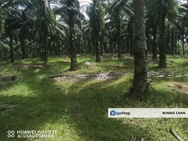 Shop for sale in Perak, Taiping