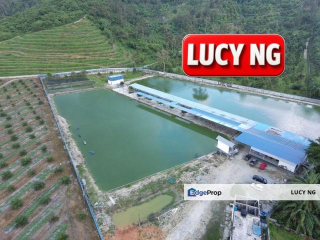 Shop for sale in Perak, Taiping