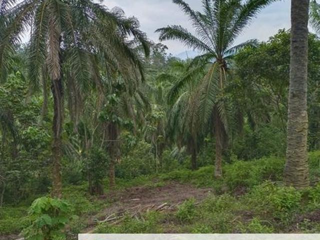 Shop for sale in Perak, Taiping