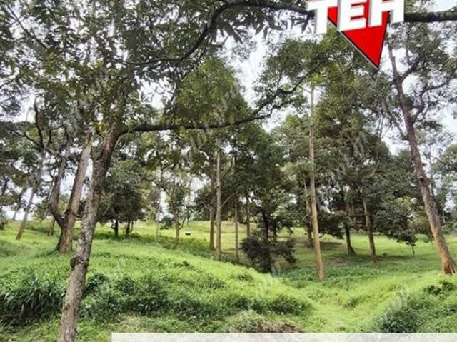 Shop for sale in Perak, Taiping