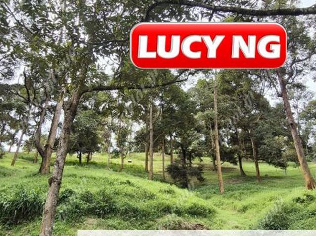 Shop for sale in Perak, Taiping
