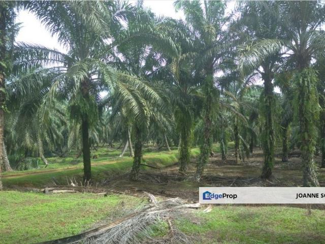 Shop for sale in Perak, Taiping