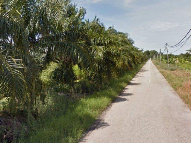 Property for rent in Jeram, Selangor