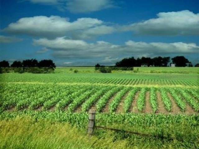 Land for sale in اٹک, راولپنڈی ڈویژن