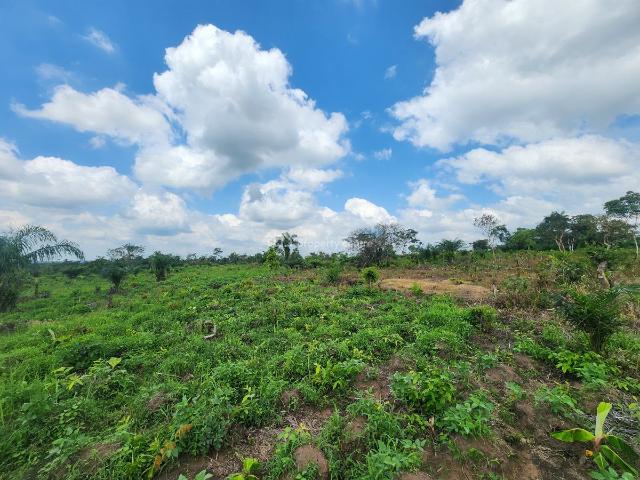 Land for sale in Ogun