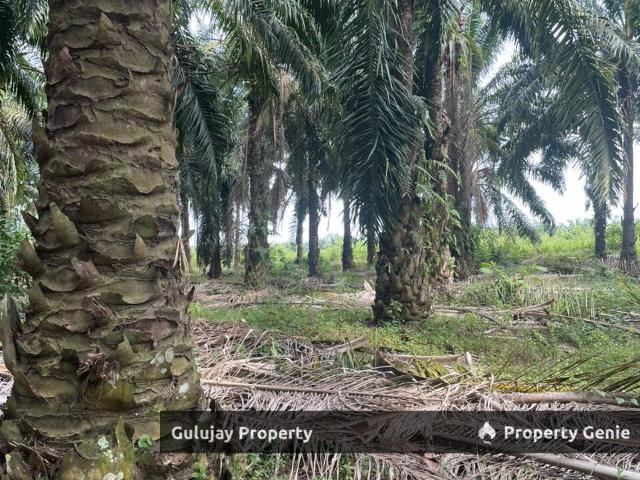 Property for sale in Malaka