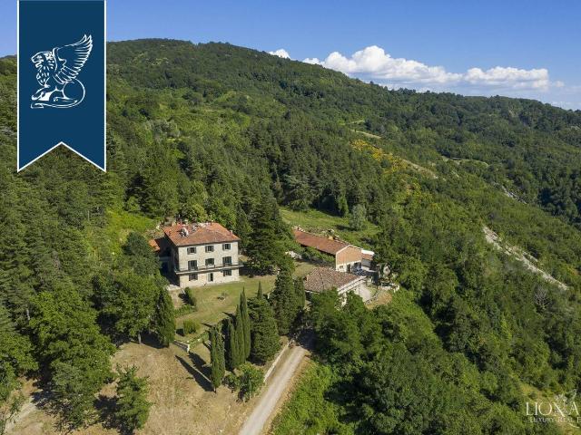 Palazzo in vendita a Borgo San Lorenzo, Toscana