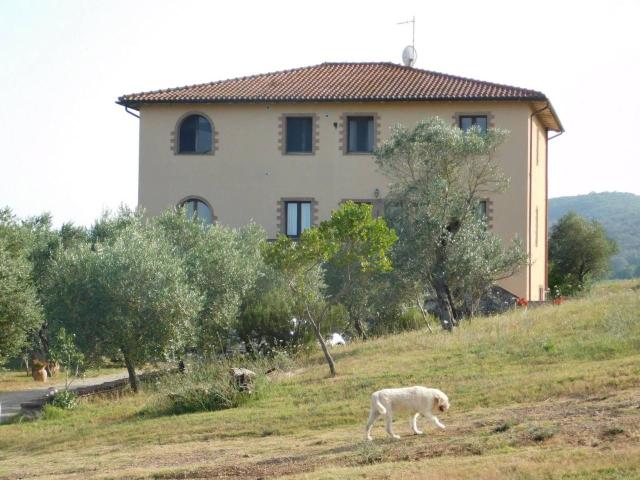 Palazzo in vendita a Civitella Paganico, Campagnatico
