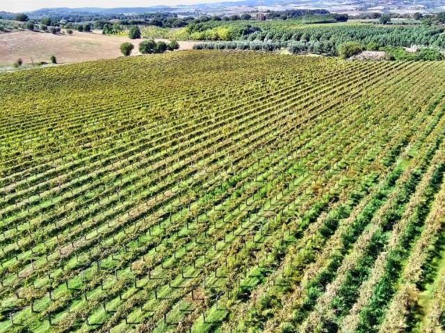 Palazzo in vendita a Unione di Comuni Montani Colline del Fiora, Manciano