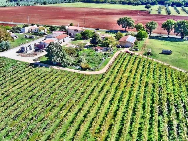 Palazzo in vendita a Unione di Comuni Montani Colline del Fiora, Manciano