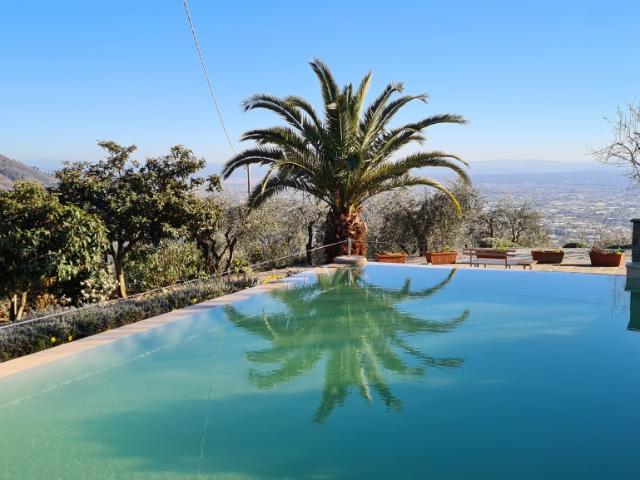 Agriturismo in vendita a Pescia, San Lorenzo a Cerreto
