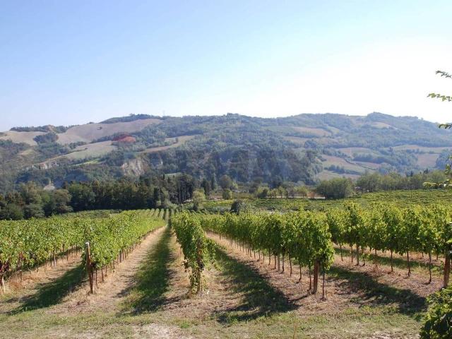 Palazzo in vendita a Unione di Comuni della Romagna Forlivese, Predappio