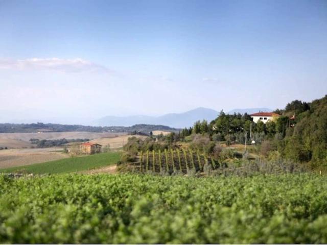 Palazzo in vendita a Santa Luce, Toscana
