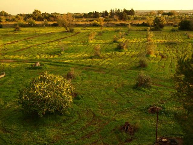 Terreno in vendita a Puglia, Lecce