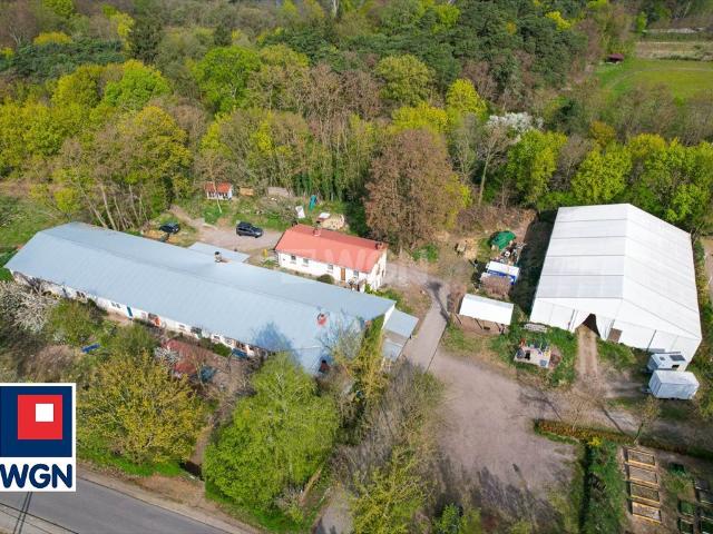 Mieszkanie na sprzedaż w Szamocin, Wielkopolskie