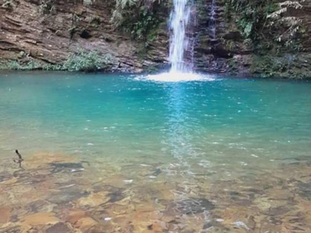 Sítio e chácara venda em Região Geográfica Imediata de Flores de Goiás, Região Integrada de Desenvolvimento do Distrito Federal e Entorno