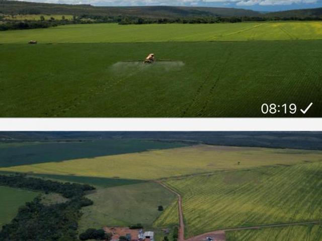 Sítio e chácara venda em Região Geográfica Imediata de Flores de Goiás, Região Integrada de Desenvolvimento do Distrito Federal e Entorno