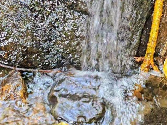 Terreno venda em Ponte do Neneco, Paraisópolis