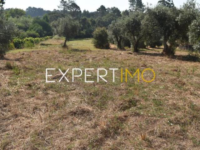 Terreno venda em Figueiró Dos Vinhos, Leiria