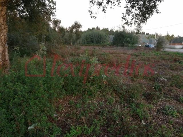 Terreno venda em Águeda, Aveiro