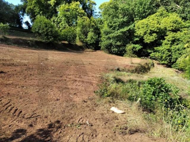 Terreno venda em Águeda, Aveiro
