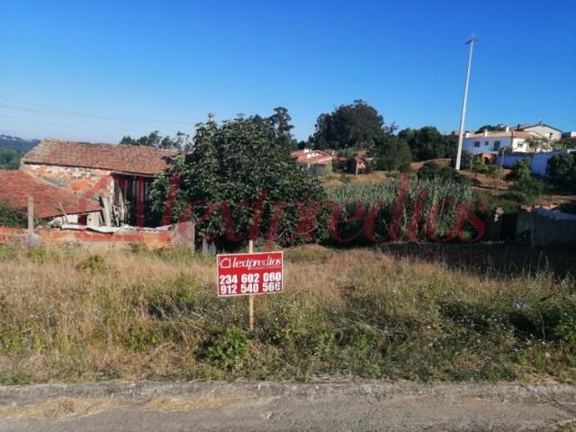 Terreno venda em Águeda
