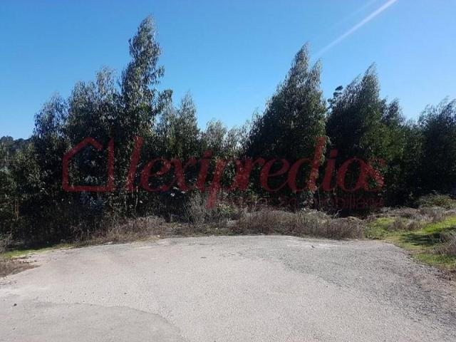 Terreno venda em Águeda