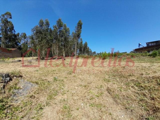 Terreno venda em Águeda