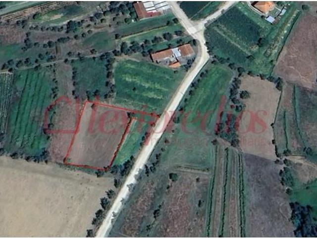 Terreno venda em Águeda, Aveiro
