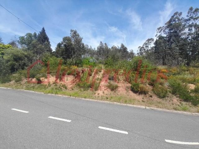 Terreno venda em Águeda, Aveiro