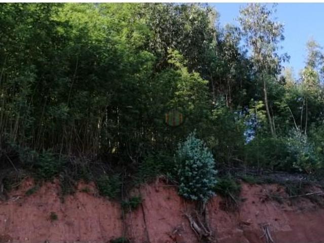 Terreno venda em Águeda, Aveiro