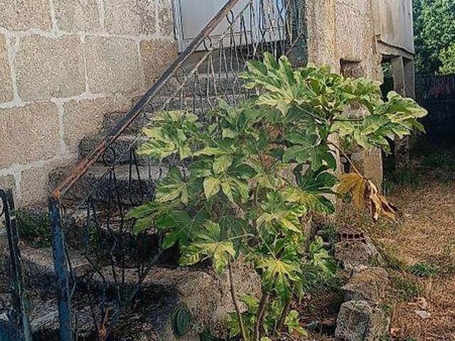 Casa venda em Aguiar da Beira, Guarda