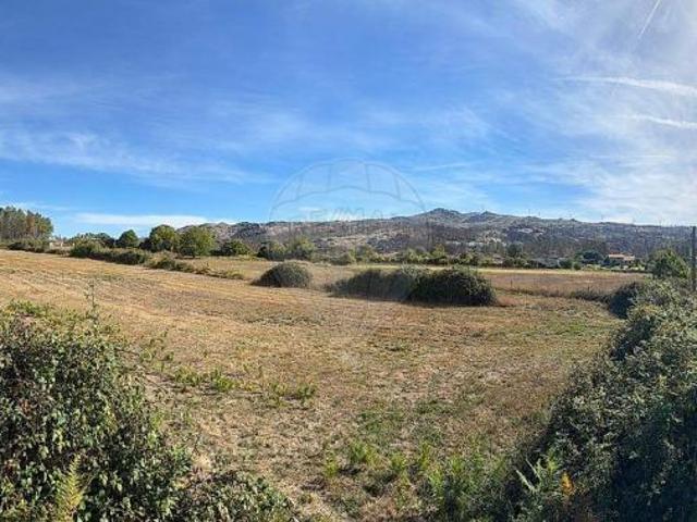 Terreno venda em Aguiar da Beira, Guarda