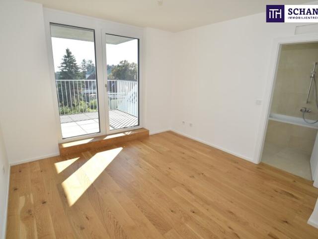 Dachgeschosswohnung kaufen in Wien