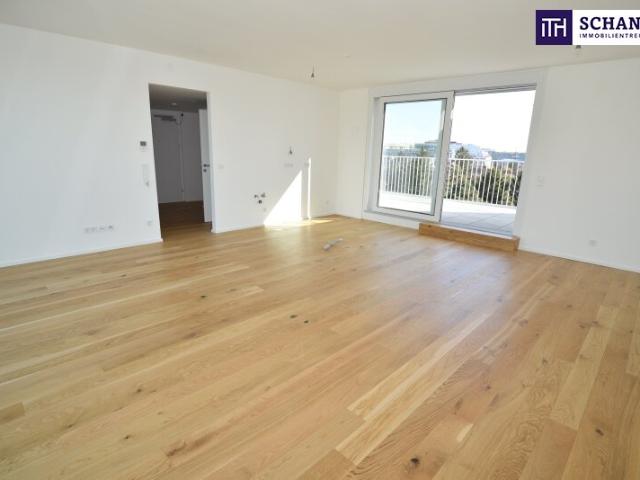 Dachgeschosswohnung kaufen in Wien