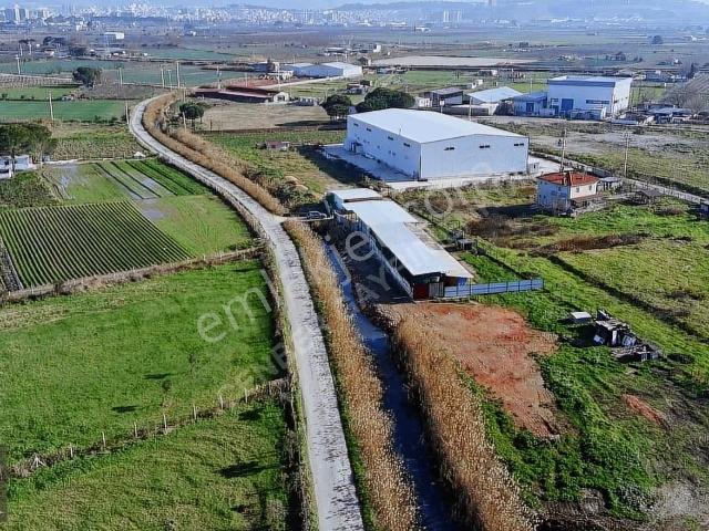 Menemen, İzmir içerisinde satılık Fabrika